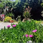 Creta Irini\'S Rooms Παραδοσιακά For You