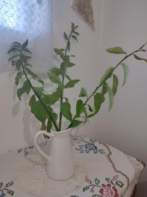 Creta Irini's παραδοσιακά For * Héraklion
